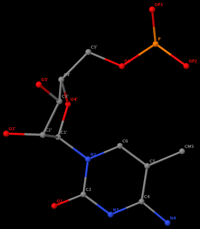 5-methyl in 5MC40 is named CM5 in RNA (1ehz)