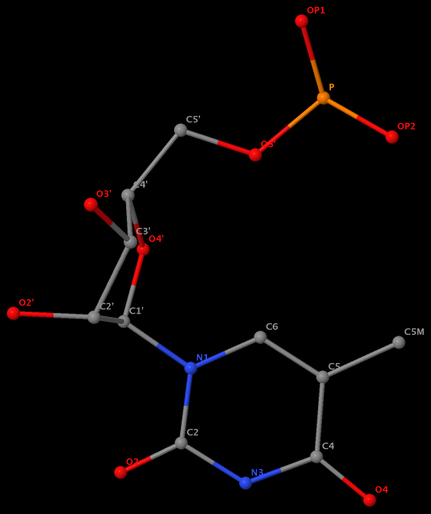 5-methyl in 5MU54 named C5M in RNA (1ehz)