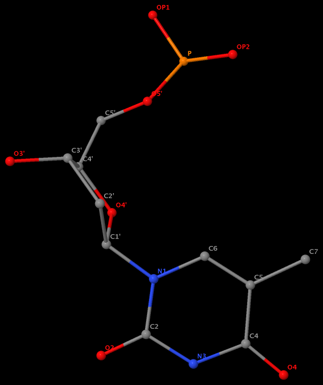 5-methyl in DT8 is named C7 in DNA (355d)