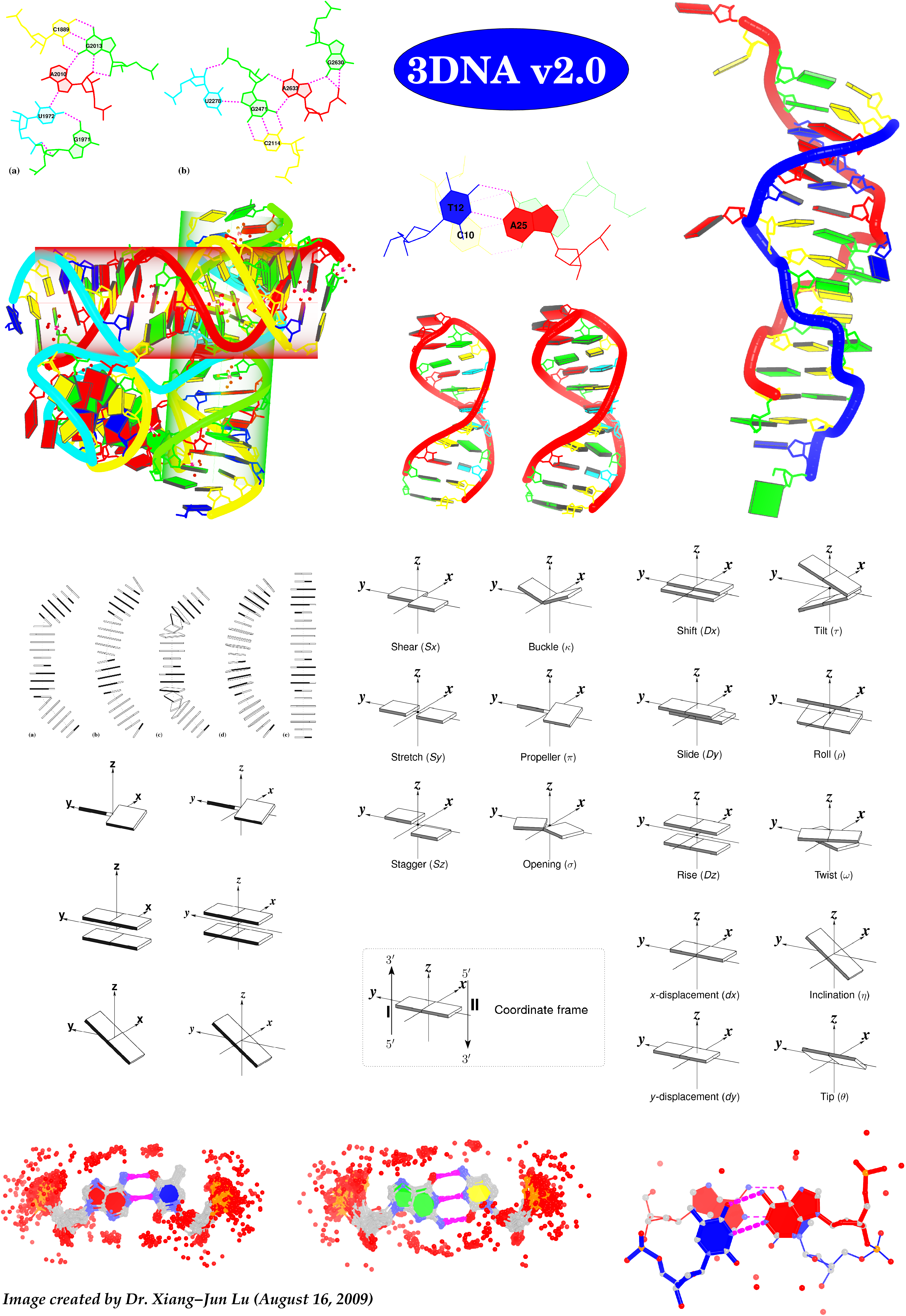 3DNA v2 composite image