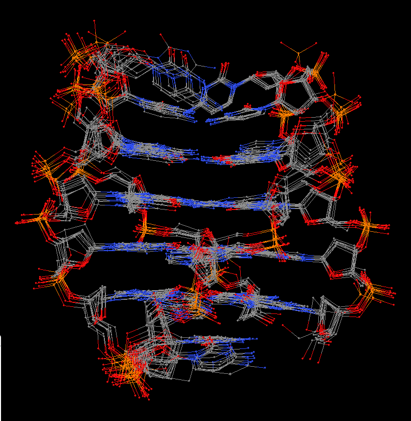 solution structure of a DNA quadruplex (2n2d)