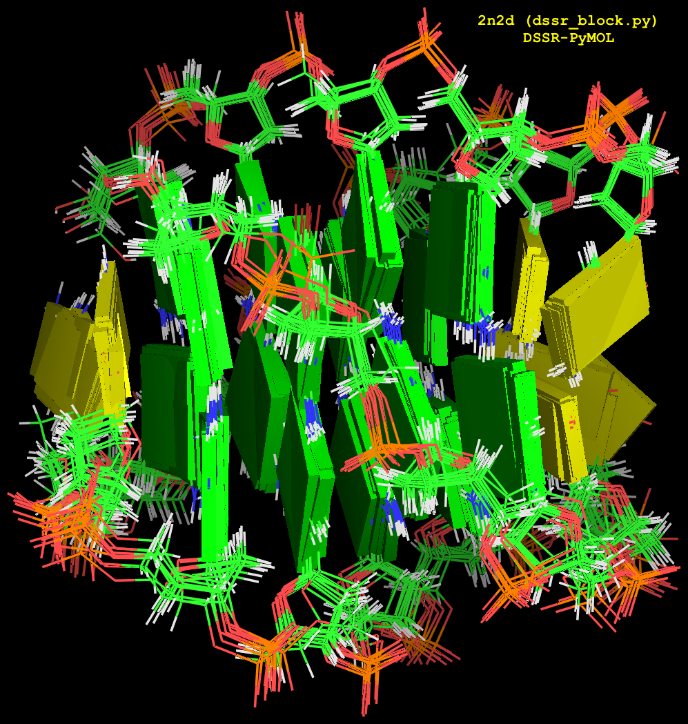 DSSR block image for an NMR ensemble (2n2d) DSSR block image for an NMR ensemble (2n2d)