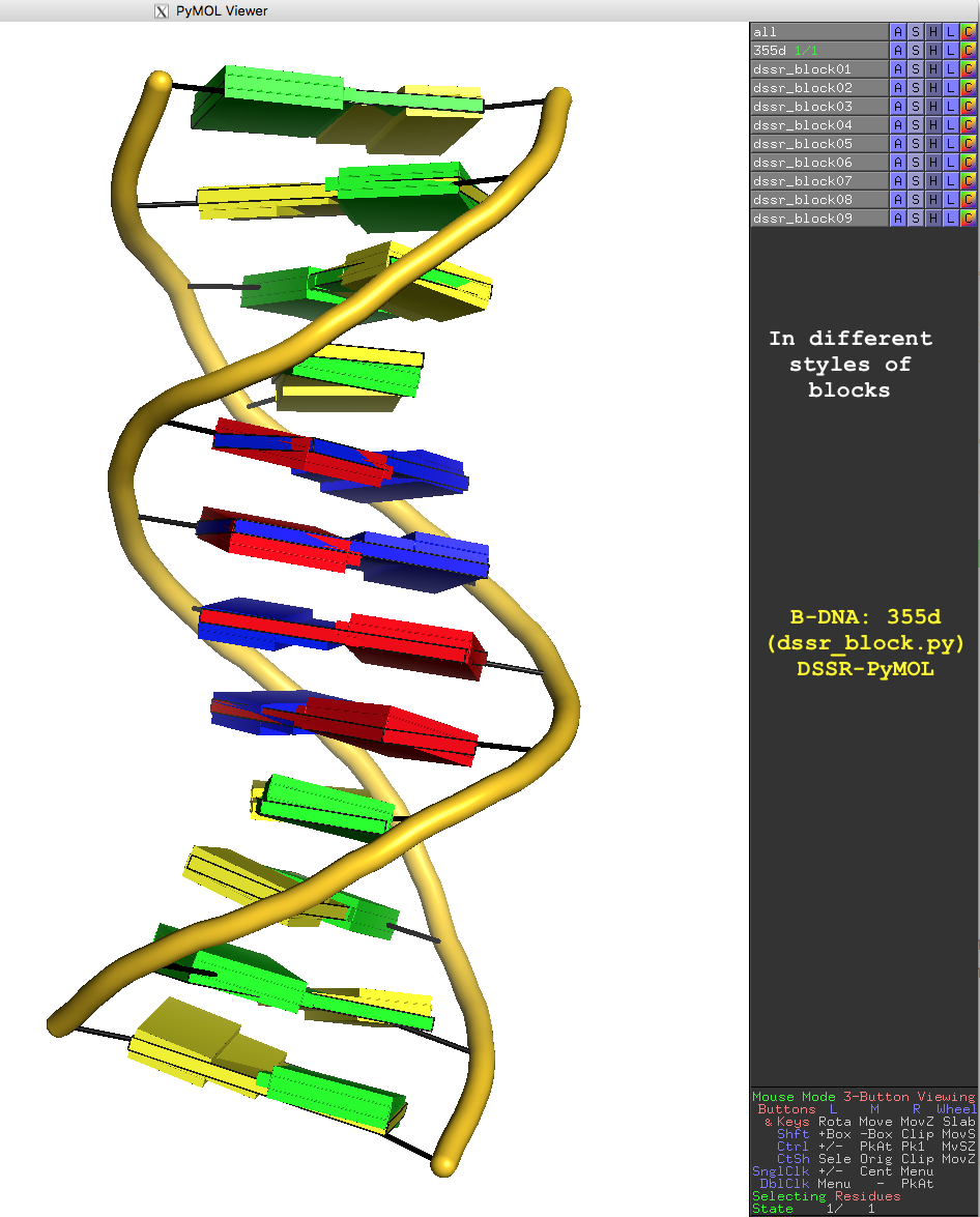 DSSR block image for the Dickerson B-DNA dodecamer (355d) DSSR block image for the Dickerson B-DNA dodecamer (355d)