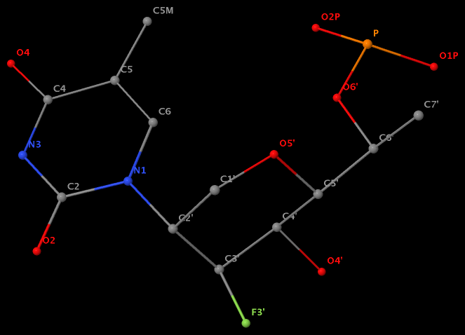 N1(U) connects to C2′