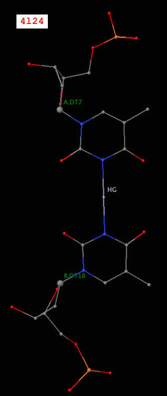 Metallo T-Hg-T base pair (PDB id: 4l24) Metallo T-Hg-T base pair (PDB id: 4l24)