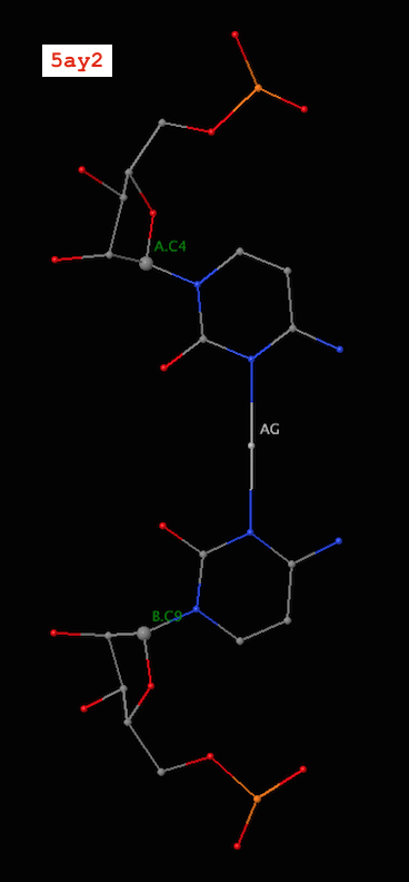 Metallo C-Ag-C base pair (PDB id: 5ay2) Metallo C-Ag-C base pair (PDB id: 5ay2)