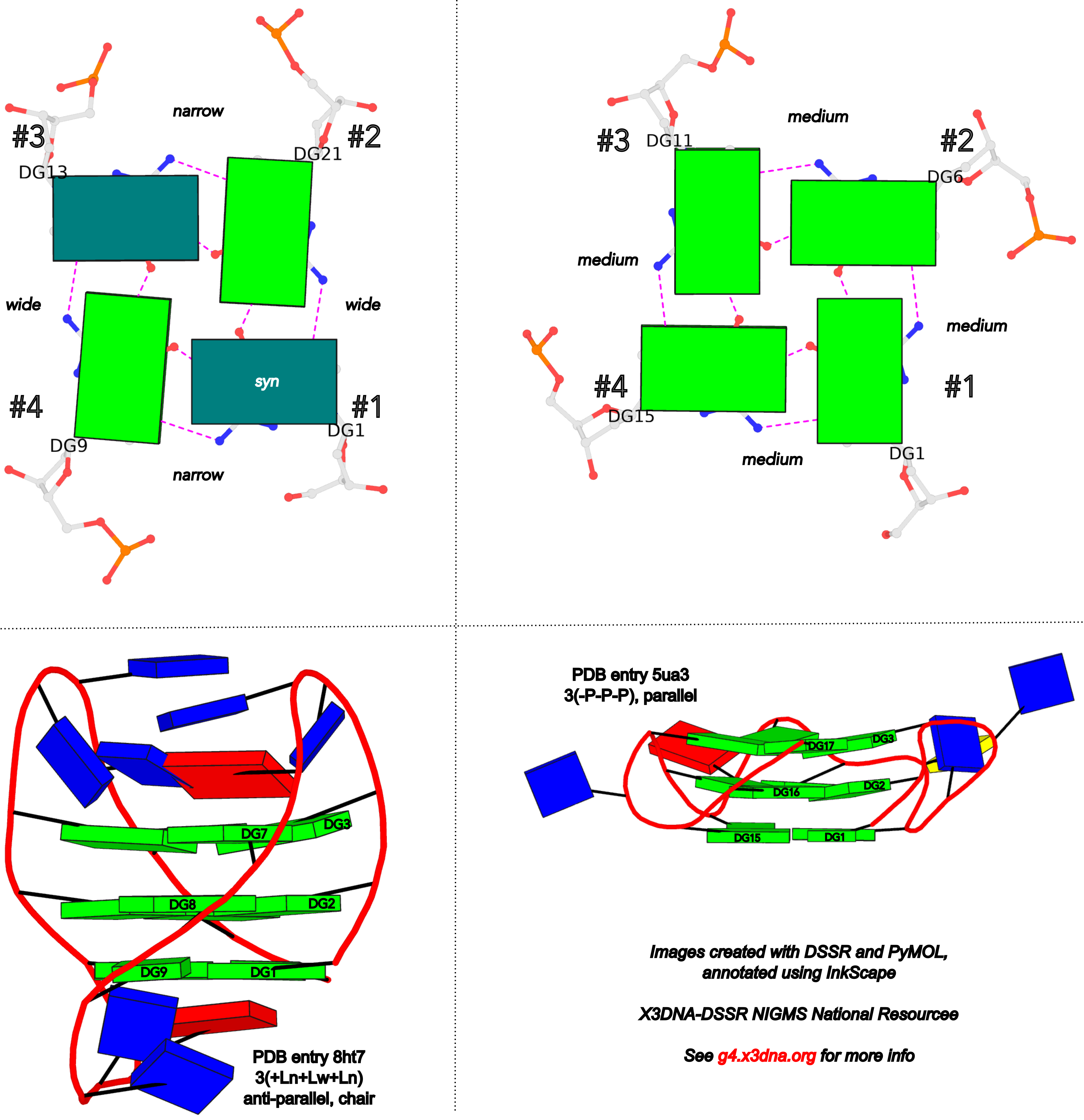 G4 frame of references