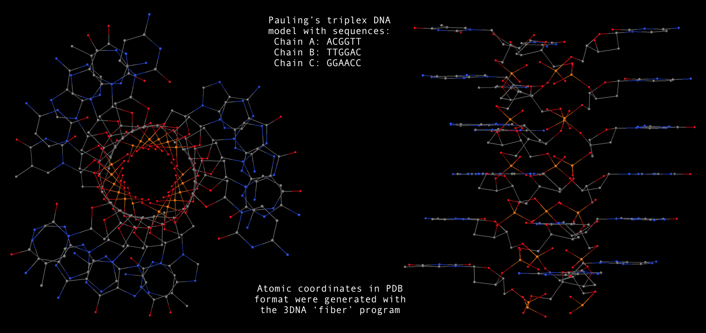 Sample Pauling DNA triplex generated with 3DNA Sample Pauling DNA triplex generated with 3DNA