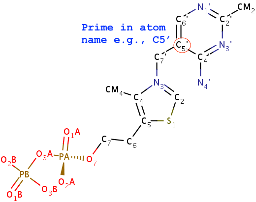 Molecular image of TPP (thiamine diphosphate) Molecular image of TPP (thiamine diphosphate)